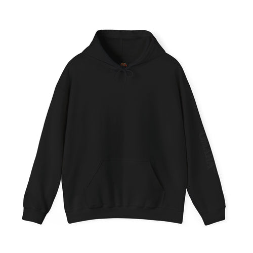"Premium Luck Only" PLO Hoodie —Graphic Sweatshirt